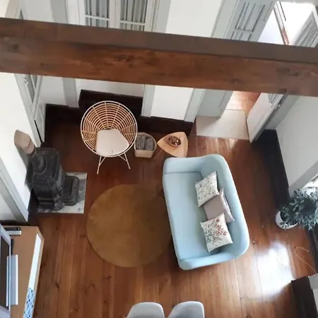 Ficus Benjamina アパート *