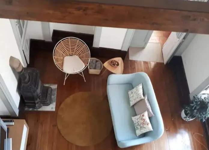 Ficus Benjamina Appartamento *