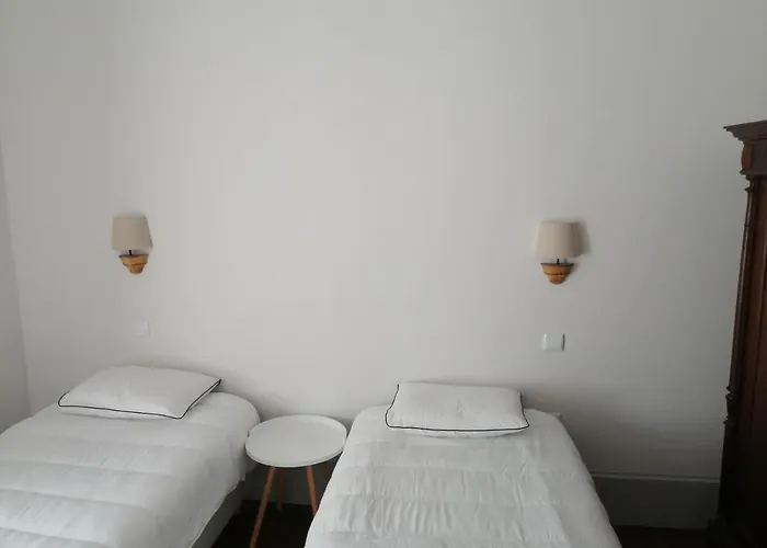 アパート Ficus Benjamina アヴェイロ